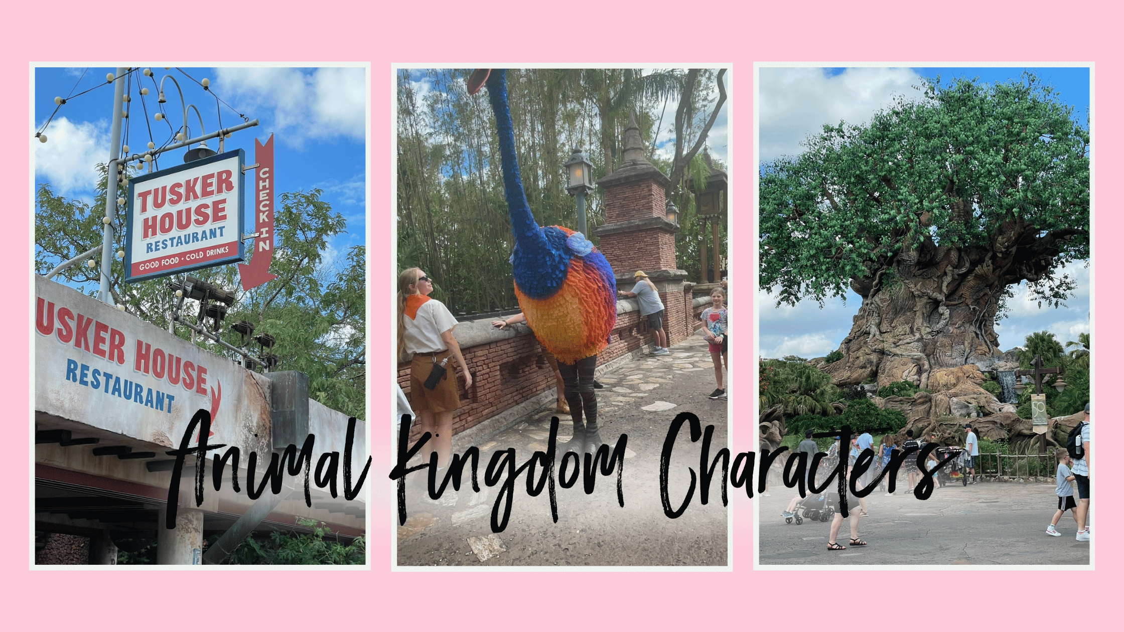 A collage of three images highlights Disney's Animal Kingdom characters. The first image shows the Tusker House Restaurant sign with a bright blue sky in the background. The second image features Kevin from Disney-Pixar's "Up," a colorful bird interacting with visitors. The third image depicts the iconic Tree of Life, a massive tree with carved animal figures, surrounded by park visitors. The text "Animal Kingdom Characters" is overlaid across the images.